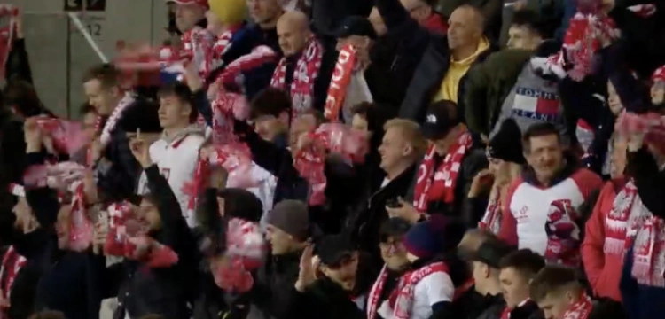 Wyszarpaliśmy zwycięstwo na Narodowym. Polska - Albania 2:1