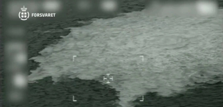 Atak na NS. Włosi przekazali Serhija K. Niemcom