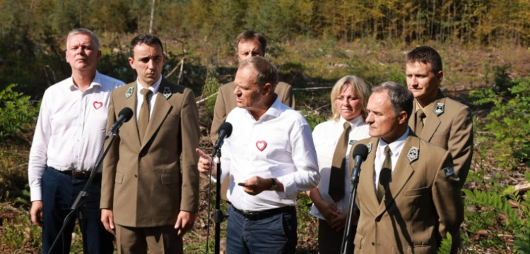 Lasy Państwowe podzielą los stoczni, hut i kopalni? Wkrótce może dojść do masowych zwolnień