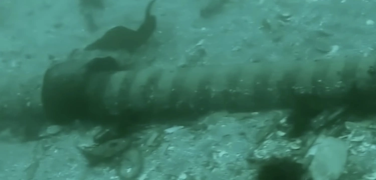 „Połączenie Polska-Szwecja wyłączone”. Doszło do awarii podwodnego kabla