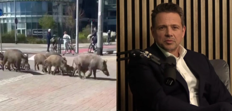 Dawid Wildstein: Kochani celebryci! Śpieszę Wam donieść o koszmarze…