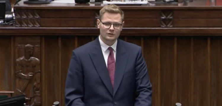 Sejm w obronie polskich lasów. Posłowie przyjęli uchwałę