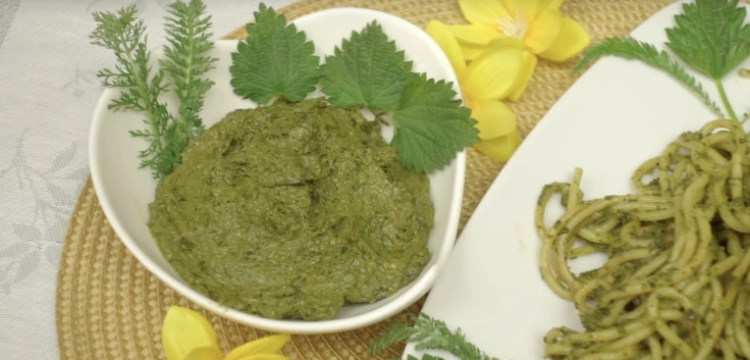 Pesto z pokrzywy do kanapek i makaronów