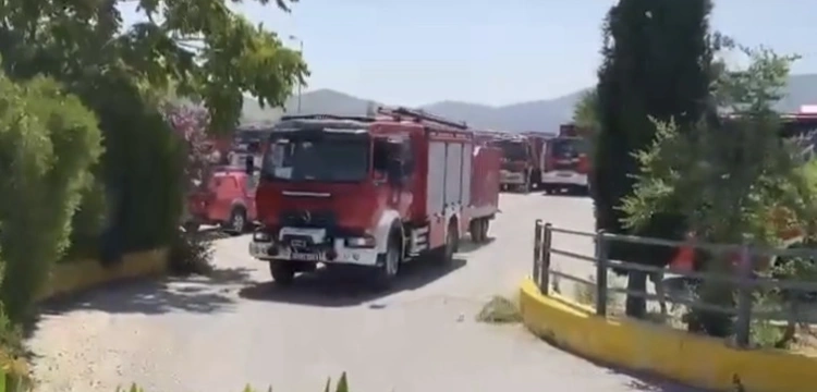 Pożary w Grecji. Polscy strażacy są już na miejscu