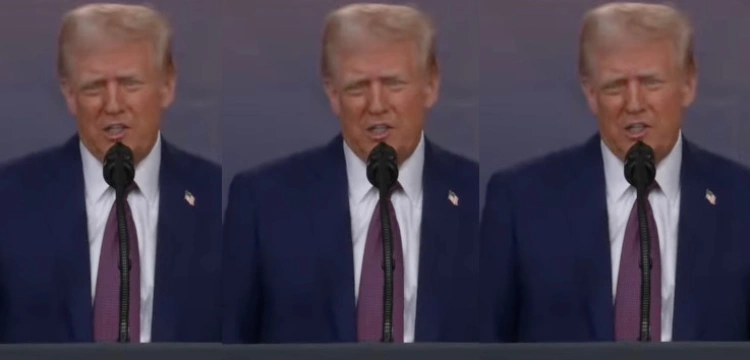 Z. Szczęsny: Wziąć Grenlandię, a „kwiczące cioty” z Europy pozostawić samym sobie