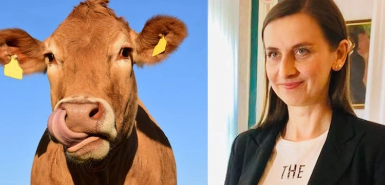 Sylwia Spurek we Wszystkich Świętych przypomniała o… „mordowanych” zwierzętach