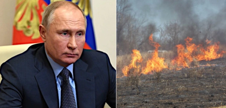 Ogromny pożar zboża w Lubuskiem. Czy to wojna hybrydowa?