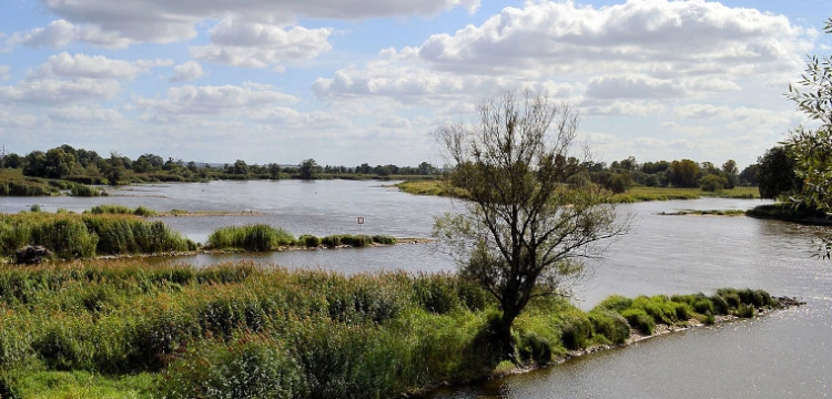 Polski sąd znów po stronie niemieckich ekologów. „Prace na Odrze muszą zostać wstrzymane”