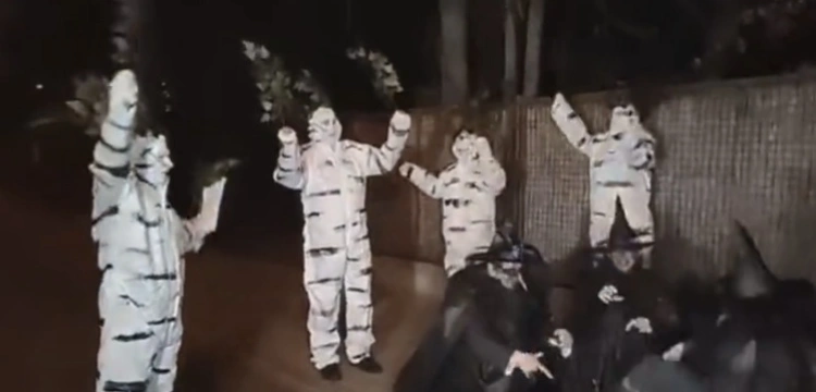 Oto „zaplecze intelektualne Tuska”. Skandaliczny happening przed domem prezesa PiS