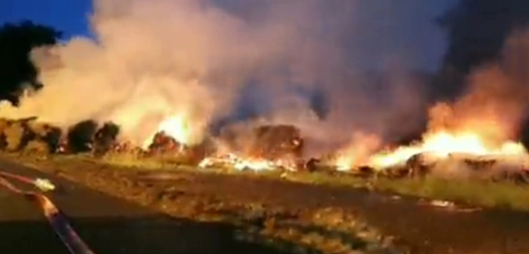 Holenderscy rolnicy nie odpuszczają. Słupy ognia na autostradach