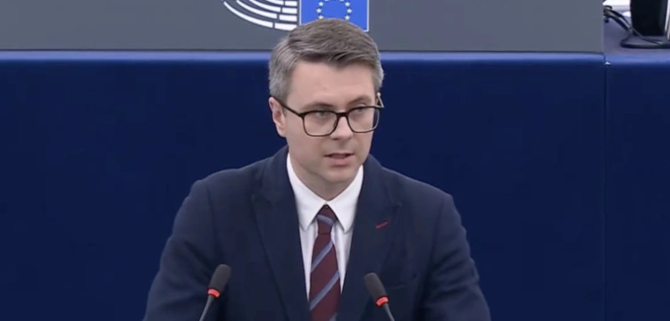 „Wygraliśmy!” Bruksela nie przejmie kontroli nad polskimi lasami