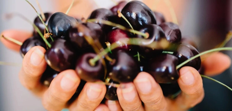 Czereśnie i wiśnie wpływają dobroczynnie na serce!