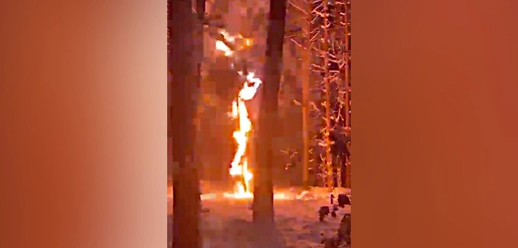 „Oglądajcie do końca”. Łowcy Burz publikują MOCNE nagranie