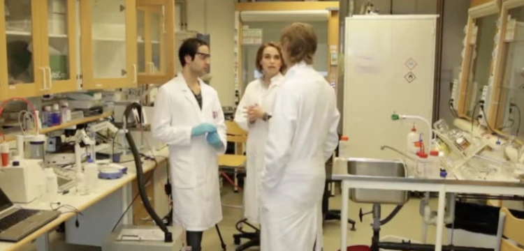 Kres materializmu? Naukowcy ze Szwecji dowodzą, że życie po śmierci istnieje