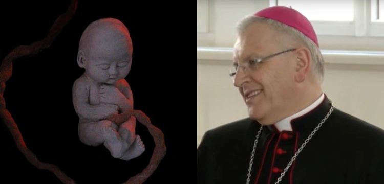 Mordują ok. 100 tys. nienarodzonych. Niemiecki biskup: To realny kompromis