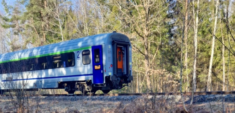 Wypadek na Podlasiu. Pociąg osobowy zderzył się z żubrami