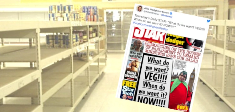 Panika w Wielkiej Brytanii. W sklepach brakuje owoców i warzyw