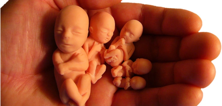 Obrońca życia nienarodzonych uniewinniony przez sąd w USA