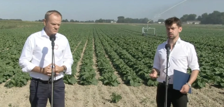 „Komedia, po prostu komedia”. Tusk wysyła Kołodziejczaka do Brukseli