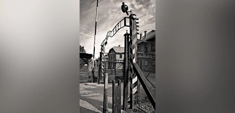 Presja ma sens! Niemcy zdejmują skandaliczną aukcję