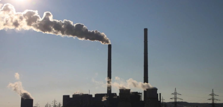 Niemcy nie są zainteresowani neutralnością klimatyczną. Fiasko referendum w Berlinie