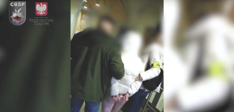 Wysyłali kobiety do USA w roli prostytutek. CBŚP rozbiło gang