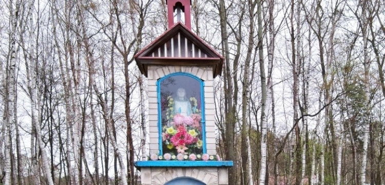 Ks. Marcin Klin: Historia nabożeństwa majowego
