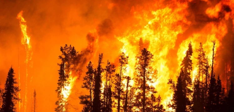 Pożary dotrą do Polski? IMGW: Ekstremalne zagrożenie