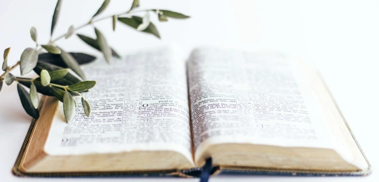 „Oto wyzdrowiałeś. Nie grzesz już więcej, aby ci się coś gorszego nie przydarzyło”