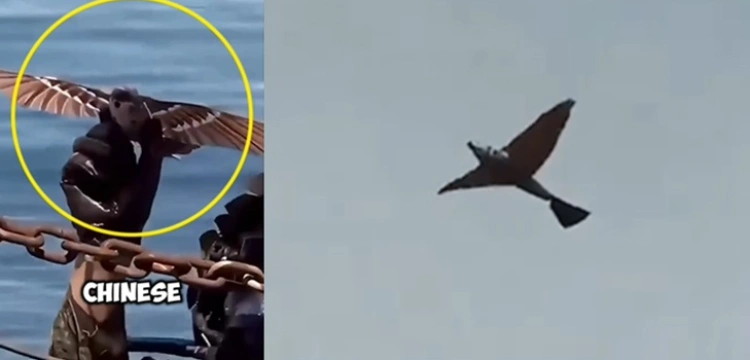 Chiny zaprezentowały „drony‑ptaki” - nowa era wojskowej technologii