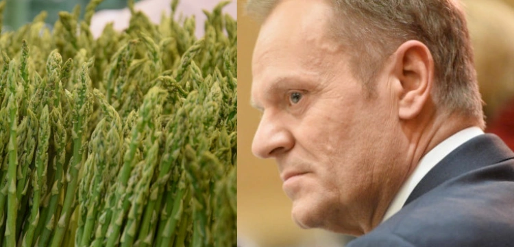 Zbiory szparagów obfite – Polaków jak na lekarstwo