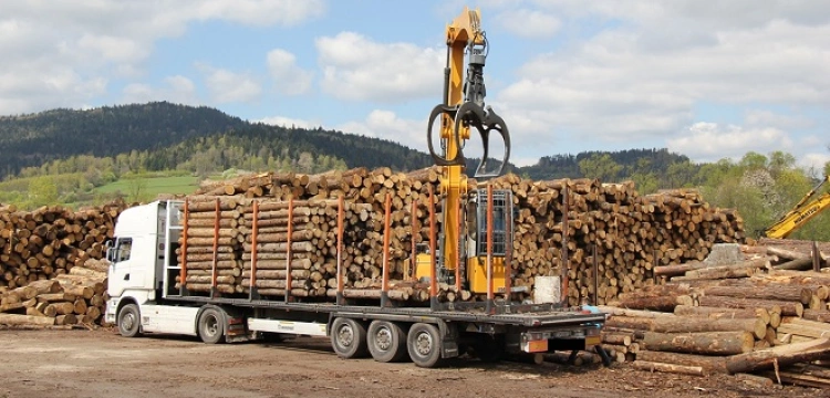 Jak Rosja omija sankcje na drewno, także przez Polskę