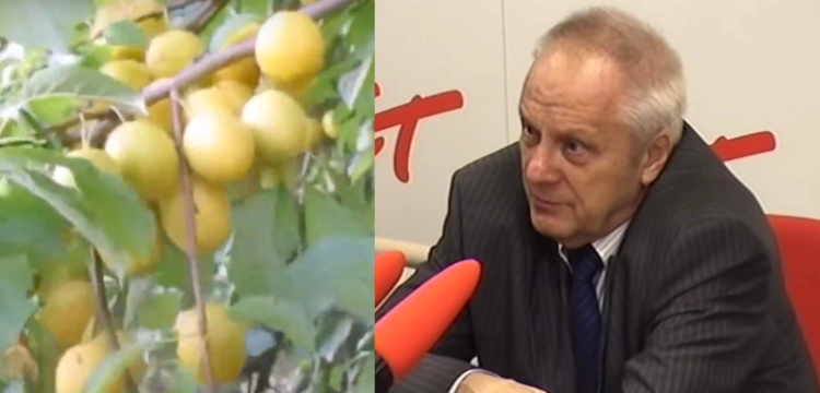 „Rządy PO to głodne dzieci i praca za 5 zł”