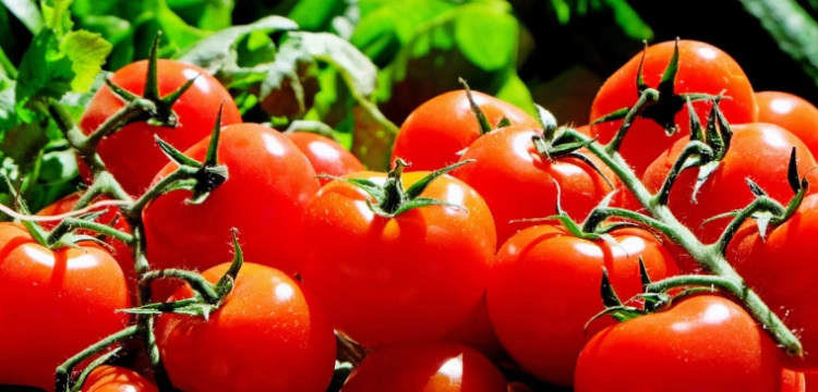 Pomidory po 35 zł. Eksperci wyjaśniają, skąd tak wysokie ceny warzyw