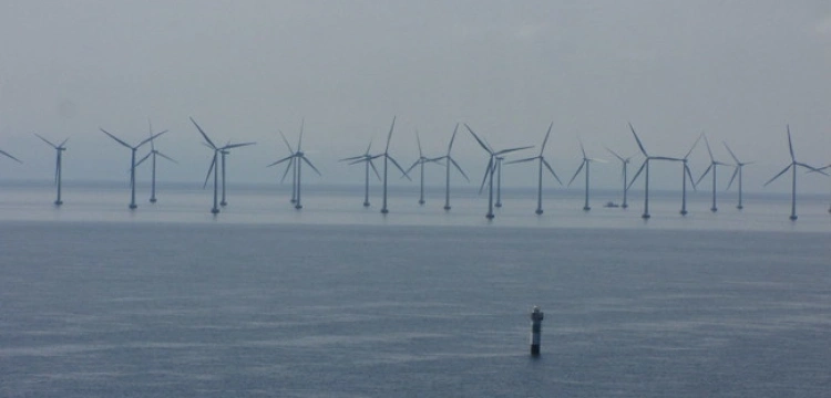 Müller: Sejm przyjmie ustawę wiatrakową prawdopodobnie na kolejnym posiedzeniu