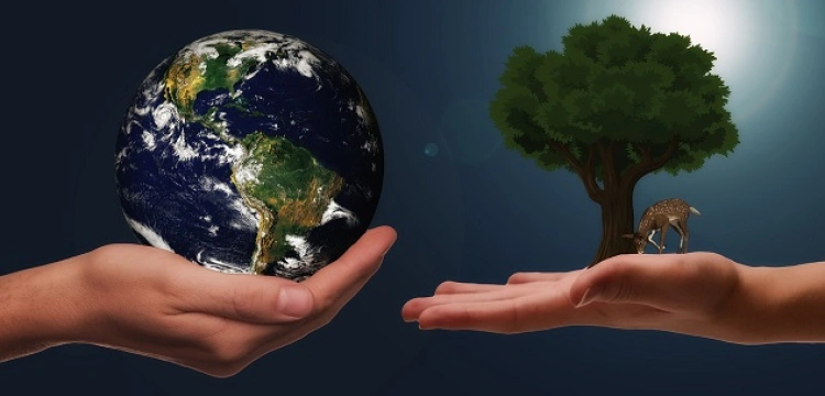 Ekorewolucja - niebezpieczna ideologia wbrew zdrowemu rozsądkowi