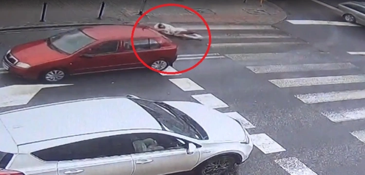 Garwolin. Bardzo niebezpieczne potrącenie pieszej na pasach [Wideo]