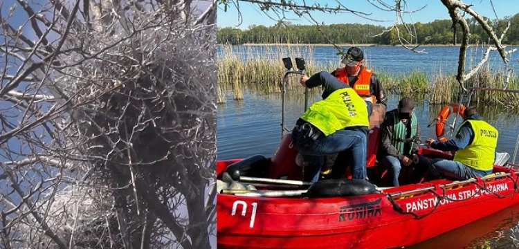 Szokujące bestialstwo! Zatrzymano sprawców uśmiercenia ok. 300 piskląt kormoranów [Wideo]