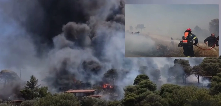 Dramat w Grecji: Pożary niszczą kraj, ewakuowani turyści i tysiące mieszkańców [Wideo]
