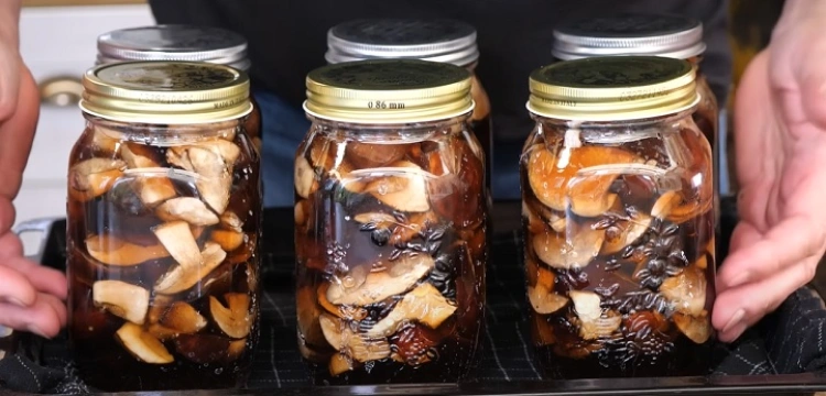 Tak pasteryzuj grzyby... a potem jedz je ze śmietaną!