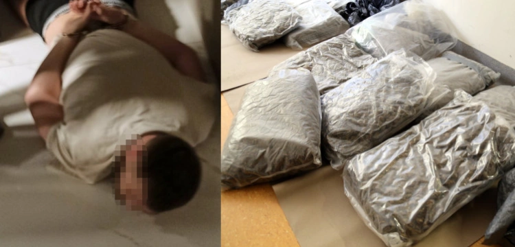 Policjanci zatrzymali podejrzanych o handel narkotykami. Znaleziono 17 kg marihuany