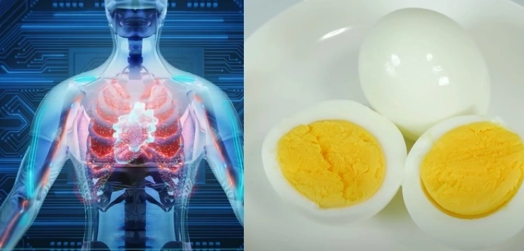Dlaczego warto jeść jajka? Oto powody [Wideo]