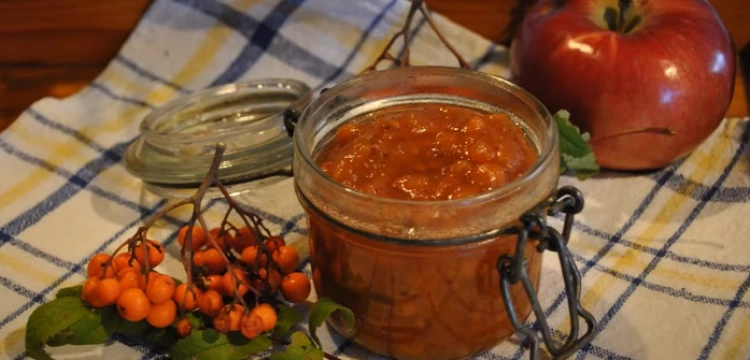 Jarzębinowe żniwa zaczynają się po przymrozkach