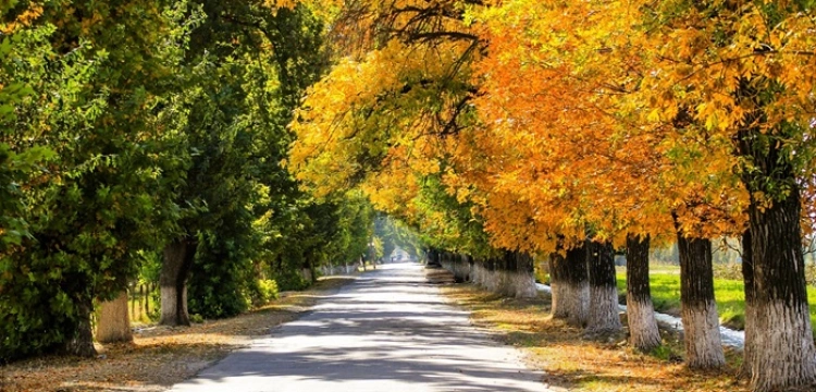 Wraca złota polska jesień: nawet 23°C i... huraganowy wiatr