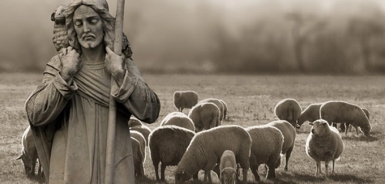 «Ja jestem dobrym pasterzem. Dobry pasterz daje życie swoje za owce»