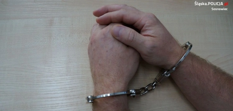 Cela plus. Przez internet składał seksualne propozycje dzieciom