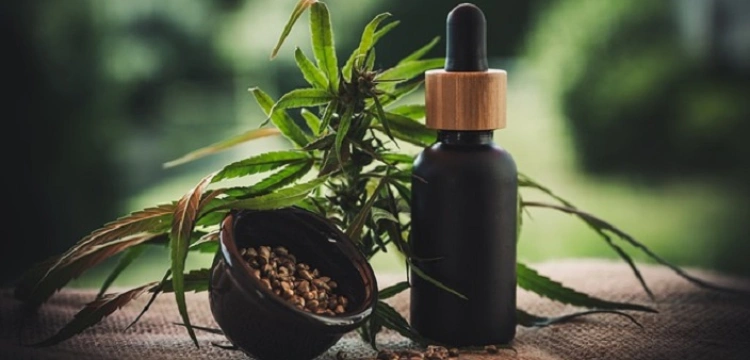 Dla  kogo olejek CBD 10%?