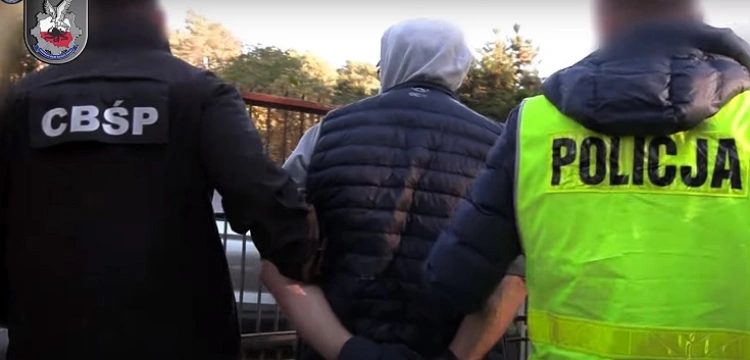 Cela plus! Współpracowali z lichwiarzami i prali brudne pieniądze, a ludzie tracili majątki