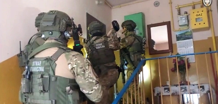 Straż Graniczna rozbiła gang przemytników nielegalnych migrantów