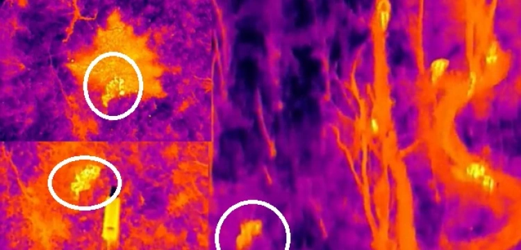 Rosjanie nie mogą spać spokojnie. Ukraińskie drony likwidują ich nocą [Wideo]